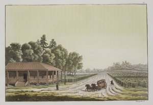 View of Capitol Hill, Washington