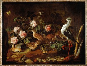 Still-life with Owl and Ibis