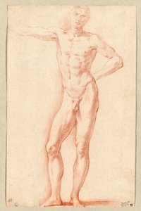 A Male Nude by Parmigianino (1503-40)