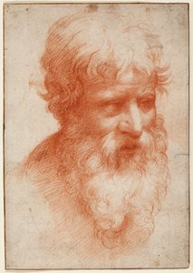 Head of a Bearded Man, looking right, c.1523-25