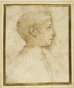 Bust of a boy in profile to the right by Parmigianino