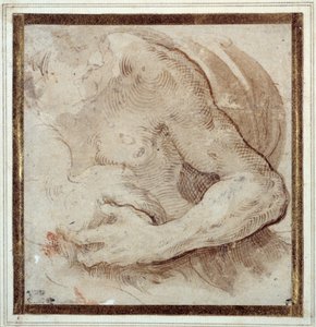 Study of the Left Arm, Chest and Head of a Bearded Man by Parmigianino