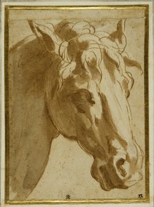 The head and neck of a horse