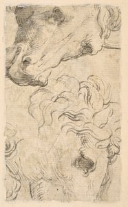 Two Studies of Heads of Horses (fragment)