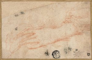 Sketch of Left Hand and Wrist by Parmigianino