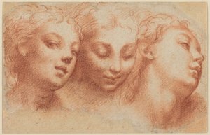 Three Feminine Heads by Parmigianino