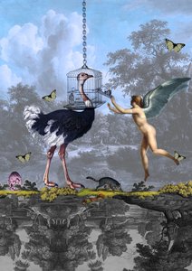 Surreal Ostrich Angel Dream