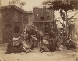 Hall of Camels