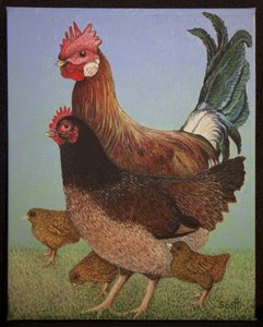 Chicken Family