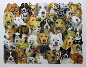 Dog Friends