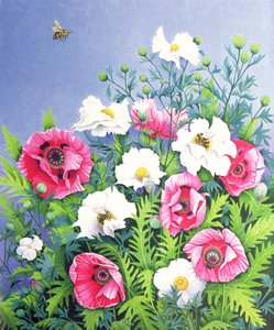 Honey Bee, Honey Bee