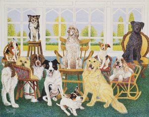 In the Dog House