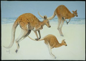 Leaping Ahead