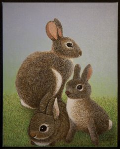 Rabbit Family