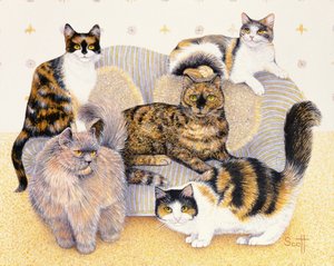 Tortoiseshell Ladies