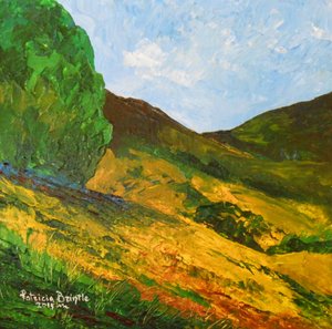 Morne La Selle by Patricia Brintle
