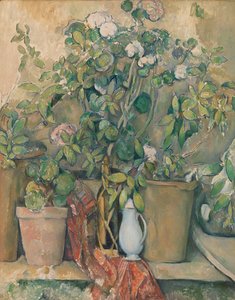 Terracotta Pots and Flowers