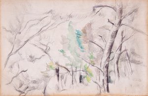 Trees [recto]; Encagnane with the Pilon du Roi [verso]