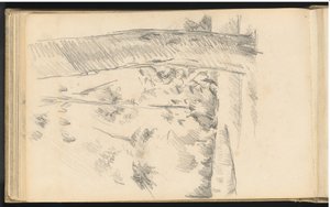 Trees and Shrubs