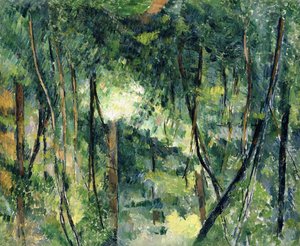 Undergrowth