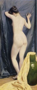 The Model