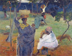 Among the Mangoes