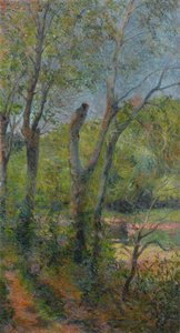 Willows by Paul Gauguin