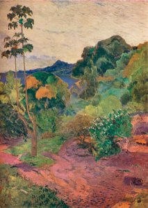 Martinique Landscape
