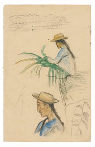 Sketches of Figures, Pandanus Leaf, and Vanilla Plant by Paul Gauguin