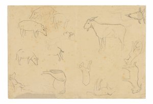 Sketches of Various Animals and Head (recto), Sketches of a Head, Figure in Profile, Anatomical Details, and Animals (verso) by Paul Gauguin