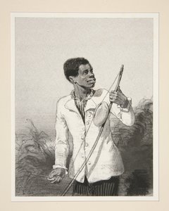The Dodo of Mauritius by Paul Gavarni