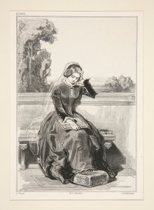 Rose De Tannebourg