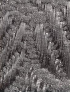 Fibres of a Damask Table Napkin by Paul Henning