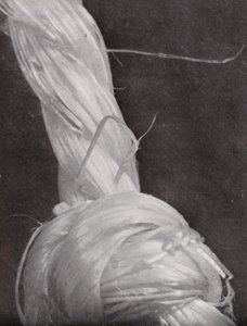 Knotted piece of cord by Paul Henning