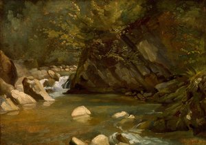 Woodland Stream