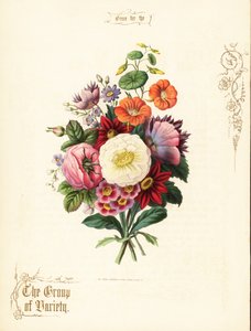 Bouquet of White Rose, Dahlia, Nasturtium, Auricula by Paul Jerrard