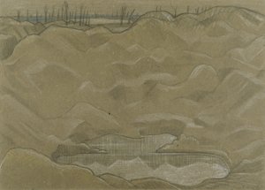 A Shell Crater