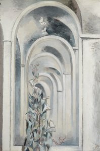 Convolvulus by Paul Nash