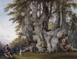 A Boy Making a Dog Dance by the Bole of an Ancient Gnarled Beech Tree by Paul Sandby
