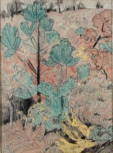 Undergrowth