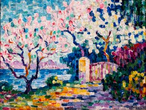 Pink Almond Trees in Bloom