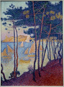 Sails and Pines