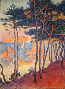 Sails and Pines