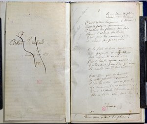 Handwritten Pages from 
