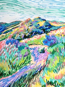 Vibrant Hillside Meadow