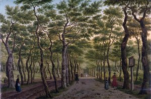 The Herepad in the Haagse Bos by Paulus Constantin La Fargue