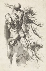 Anatomical Study of Three Figures with Outstretched Arms by Paulus Pontius