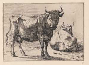 A Cow Standing and Another Lying Down, from Various Oxen and Cows