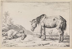 Worn-out Horses by Paulus Potter