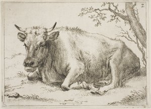 Cow Lying Beside a Tree, plate 7 from Eight Bulls and Cows by Paulus Potter